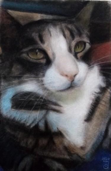 Schilderij getiteld "Gato Miau" door Jose Oña Jurado, Origineel Kunstwerk, Pastel