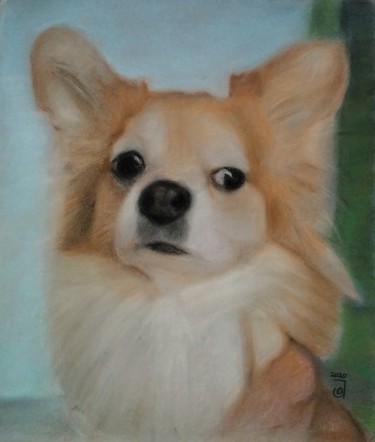 Mia Papillón Peinture intitulée "Mia Papillón" par Jose Oña Jurado, Œuvre d'art originale, Pastel
