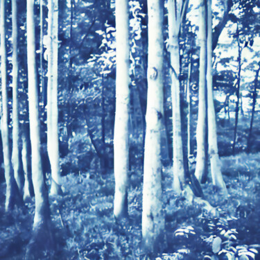 Artes digitais intitulada "blue forest" por Josep Domènech, Obras de arte originais, Imagem gerada por IA