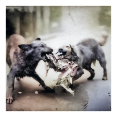 Digital Arts titled "STRAY DOGS" by Josep Domènech, Original Artwork, AI generated image