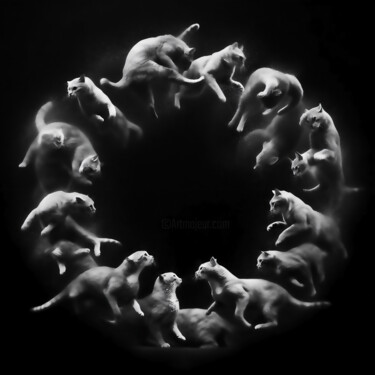 Digitale Kunst mit dem Titel "CAT AGAINST CAT" von Josep Domènech, Original-Kunstwerk, KI-generiertes Bild