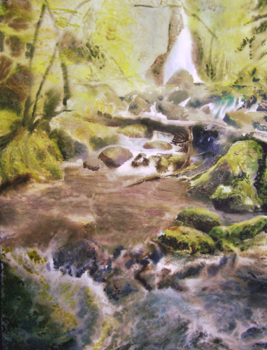 Peinture intitulée "a wild place" par Joseph Caldwell, Œuvre d'art originale, Aquarelle