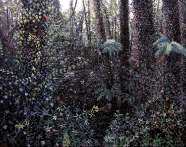 Peinture intitulée "La natura em crida" par Josep Maria Fontanet Sureda, Œuvre d'art originale, Huile Monté sur Châssis en b…