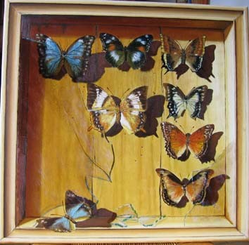 Pittura intitolato "l'envol des papillo…" da José Windels, Opera d'arte originale