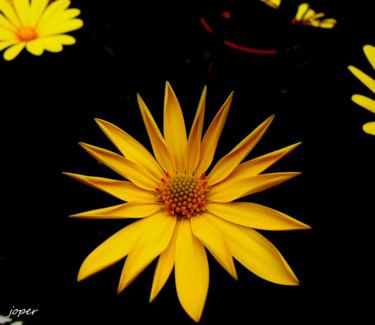 Photographie intitulée "Soleil pour tout le…" par Bleu Soleil-Joper, Œuvre d'art originale, Photographie numérique