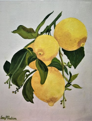 Painting titled "4 Citrons" by Josy Chatain, Original Artwork, Oil