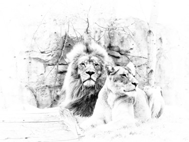 Photographie intitulée "lions-842" par Josy Moderne, Œuvre d'art originale, Photographie manipulée