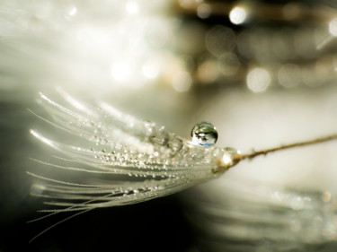 Photographie intitulée "Perles - rosée 4-2" par Josy Moderne, Œuvre d'art originale, Photographie numérique