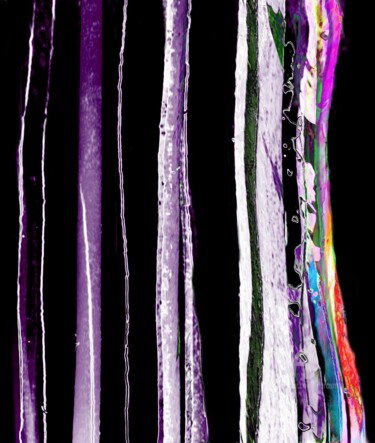Digital Arts titled "LiLI" by Jourcarmin, Original Artwork, Photo Montage Mounted on Plexiglass