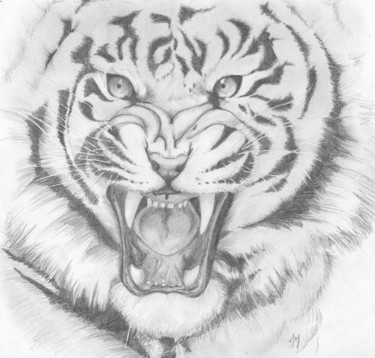 Dessin intitulée "tigre.jpg" par Joy Prillard, Œuvre d'art originale