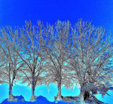 Photography titled "AWAITING...SPRING(B)" by Jmsbell, Original Artwork, Manipulated Photography