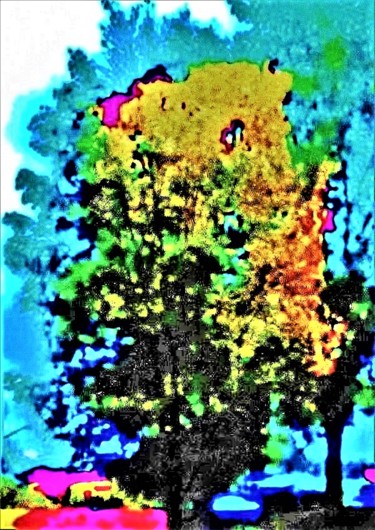 Photographie intitulée "TECHNICOLOR AUTUMN…" par Jmsbell, Œuvre d'art originale, Photographie manipulée