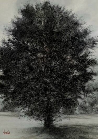 Рисунок под названием "La sentinelle" - Jean-Pierre Baïlé, Подлинное произведение искусства, Древесный уголь Установлен на Д…