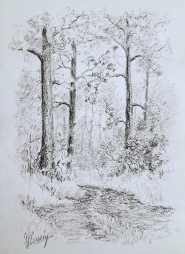 Desenho intitulada "Le sentier forestier" por Jean-Pierre Cousin, Obras de arte originais, Grafite