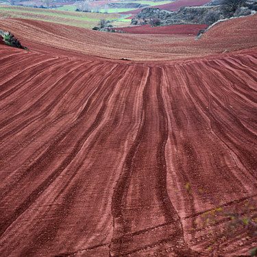Photographie intitulée "34-rioja-rouge.jpg" par Jean Pierre Fleury, Œuvre d'art originale