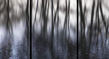 Photographie intitulée "Marais Marin" par Jean Pierre Fleury, Œuvre d'art originale, Photographie numérique