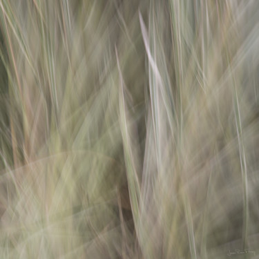 Photographie intitulée "Effet de feuilles" par Jean Pierre Fleury, Œuvre d'art originale, Photographie numérique