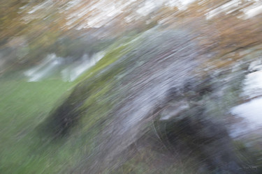 Photographie intitulée "Vent de panique" par Jean Pierre Fleury, Œuvre d'art originale, Photographie numérique