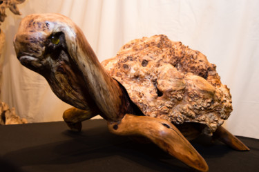 Skulptur mit dem Titel "TURTLE" von José Paulo Pereira Fernandes, Original-Kunstwerk, Holz