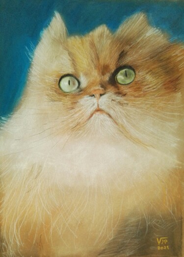 Dessin intitulée "OLIVER, chat persan" par Jean-Pierre Vialle, Œuvre d'art originale, Pastel