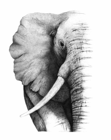 Dibujo titulada "Elephant and dot. 01" por Jr Brambilla, Obra de arte original, Tinta