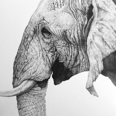 Drawing titled "Elephant and dot." by Jr Brambilla, Original Artwork, Ink