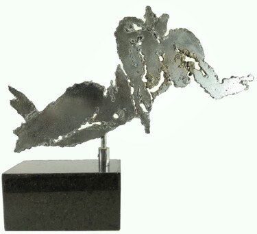 Sculpture titled "BodyW" by José Rezende, Original Artwork, Metals