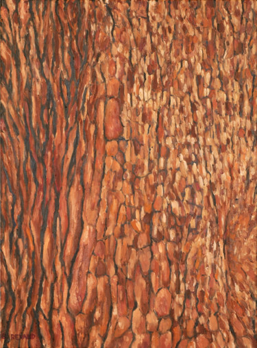 Peinture intitulée "Ecorce de Pin paras…" par Renand, Œuvre d'art originale, Huile Monté sur Châssis en bois
