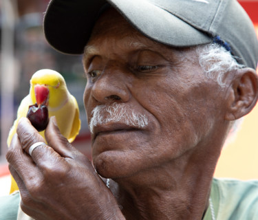 Fotografía titulada "amigos forever" por Jose Americo Jsilvares, Obra de arte original, Fotografía digital