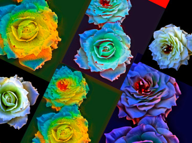 摄影 标题为“painel floral” 由Jose Americo Jsilvares, 原创艺术品, 数码摄影