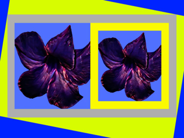 Fotografia intitulada "lilas" por Jose Americo Jsilvares, Obras de arte originais, Fotografia digital