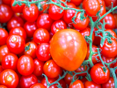Fotografie getiteld "tomates mûres crues" door Jose Americo Jsilvares, Origineel Kunstwerk, Digitale fotografie