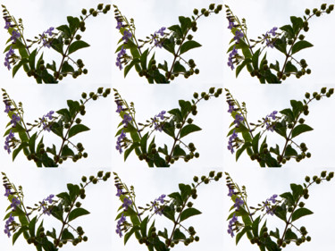 papel de parede 2222 Fotografia intitulada "papel de parede 2222" por Jose Americo Jsilvares, Obras de arte originais, Fotografia digital