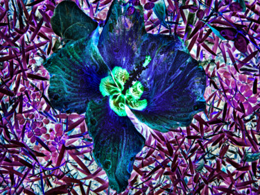Фотография под названием "fleur bleu" - Jose Americo Jsilvares, Подлинное произведение искусства, Цифровая фотография
