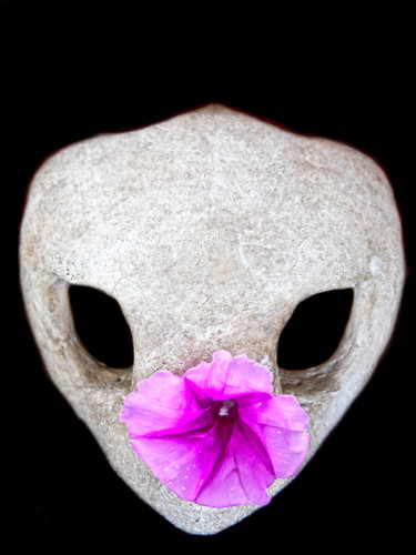 Photographie intitulée "caveira flor" par Jose Americo Jsilvares, Œuvre d'art originale, Photographie numérique