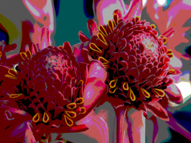 Fotografie mit dem Titel "affice fleur" von Jose Americo Jsilvares, Original-Kunstwerk, Digitale Fotografie