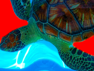Fotografia zatytułowany „tartaruga marinha” autorstwa Jose Americo Jsilvares, Oryginalna praca, Fotografia cyfrowa