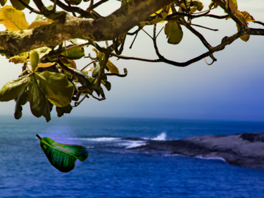 Fotografía titulada "beach" por Jose Americo Jsilvares, Obra de arte original, Fotografía digital