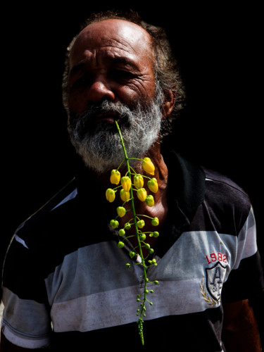 Photography titled "acacia" by Jose Americo Jsilvares, Original Artwork, Digital Photography