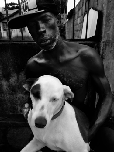 Fotografia intitulada "fidelidade canina" por Jose Americo Jsilvares, Obras de arte originais, Fotografia digital