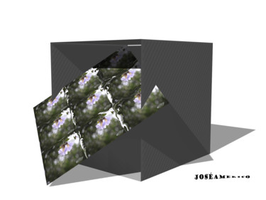 Photography titled "cubo flor" by Jose Americo Jsilvares, Original Artwork, Manipulated Photography