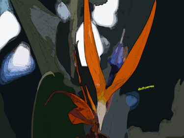 Fotografía titulada "Flor tropical" por Jose Americo Jsilvares, Obra de arte original, Fotografía manipulada