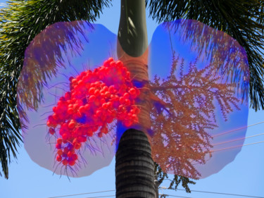 Photography titled "Tropical" by Jose Americo Jsilvares, Original Artwork, Manipulated Photography