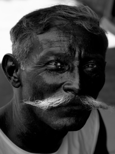 Fotografia intitulada "bigode" por Jose Americo Jsilvares, Obras de arte originais, Fotografia digital