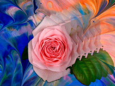Photography titled "Roses are rose" by Jose Americo Jsilvares, Original Artwork, Manipulated Photography