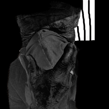 Photographie intitulée "Prisonnier pandémiq…" par Jose Americo Jsilvares, Œuvre d'art originale, Photographie manipulée