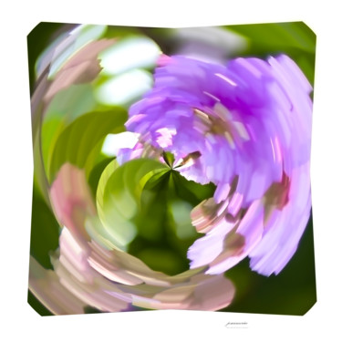 Fotografia intitulada "hipnose floral" por Jose Americo Jsilvares, Obras de arte originais, Fotografia Manipulada