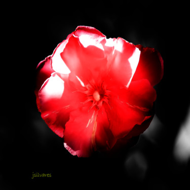 Photography titled "Litle red" by Jose Americo Jsilvares, Original Artwork, Manipulated Photography