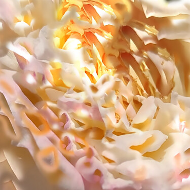 Photographie intitulée "Pollen" par Jose Americo Jsilvares, Œuvre d'art originale, Photographie numérique