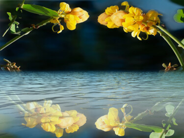 Photographie intitulée "remanso da paz" par Jose Americo Jsilvares, Œuvre d'art originale, Photographie manipulée